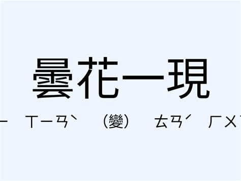 曇花一現的愛情|曇花一現造句